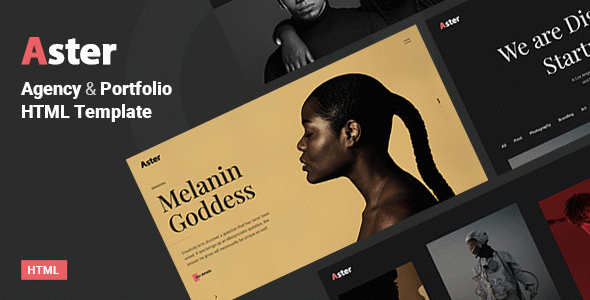 Aster - Creative Portfolio Agency Template