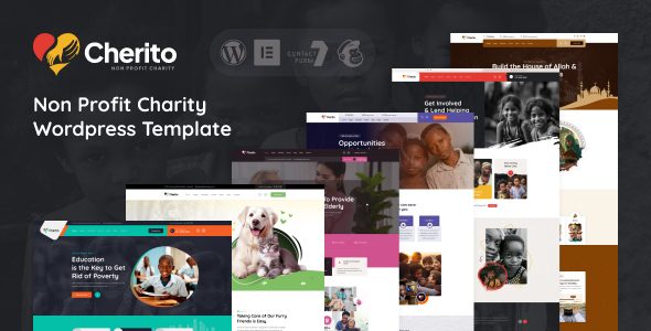 Cherito - Non Profit Charity WordPress Theme