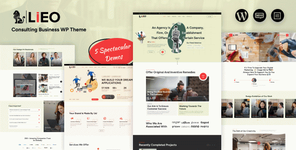 LIEO - Consulting WordPress